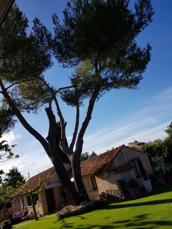 A L'Oree Du Pin Aix-en-Provence Zewnętrze zdjęcie